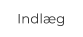 Indlæg